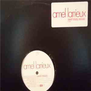 Amel Larrieux - Sweet Misery Remixes download free Amel Larrieux - Sweet Misery Remixes download mp3 flac