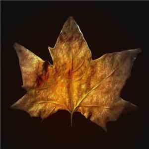 BeStrass - The Seasons download free