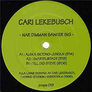 Cari Lekebusch - Nar Dimman Sanker Sig download free