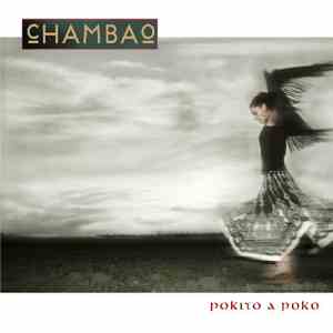 cHAMBAo - Pokito A Poko download mp3 flac