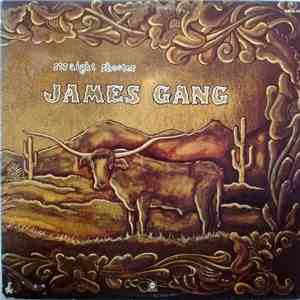 James Gang - Straight Shooter download free