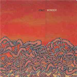 Knut - Wonder download free Knut - Wonder download mp3 flac