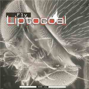 Liptocoal - Fly download free Liptocoal - Fly download mp3 flac