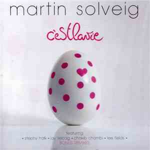 Martin Solveig - C'est La Vie download mp3 flac