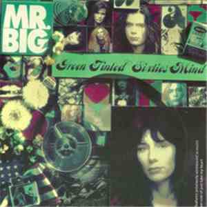 Mr Big - Green Tinted Sixties Mind download mp3 flac