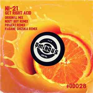 NI-21 - Get Right Acid download mp3 flac