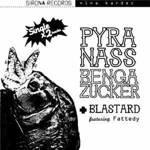 Nina Kardec - Pyranassbengazucker download free