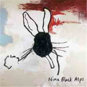 Nine Black Alps - Everything Is download mp3 flac