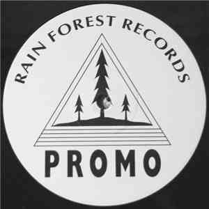 Rainforest - The Birds download mp3 flac