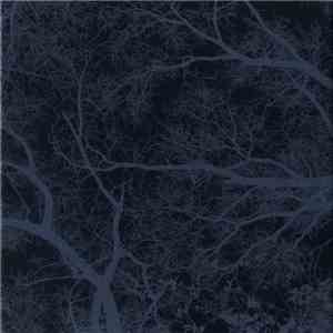 Sil Muir - Sil Muir download free
