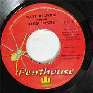 Terry Ganzie - Want De Loving download free