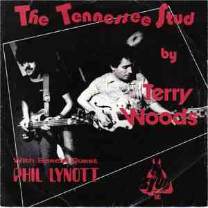 Terry Woods - Tennessee Stud download mp3 flac