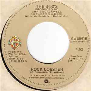 The B-52's - Rock Lobster / Private Idaho download mp3 flac