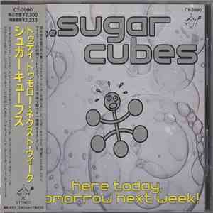 The Sugarcubes - Here Today, Tomorrow Next Week! download mp3 flac