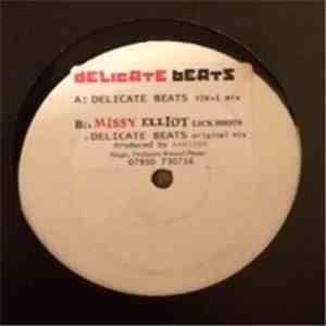 Unknown Artist - Delicate Beats / Lickshots download mp3 flac