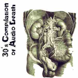 Various - 30 Seconds Compilation Of Audio Death download free