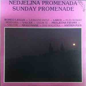 Various - Nedjeljna Promenada - Sunday Promenade 6 download mp3 flac Various - Nedjeljna Promenada - Sunday Promenade 6 download free