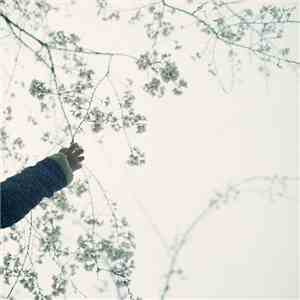 Wil Bolton - Bokeh download free