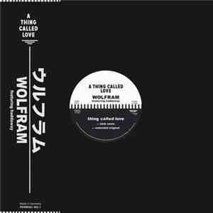 Wolfram Feat. Haddaway - Thing Called Love download free
